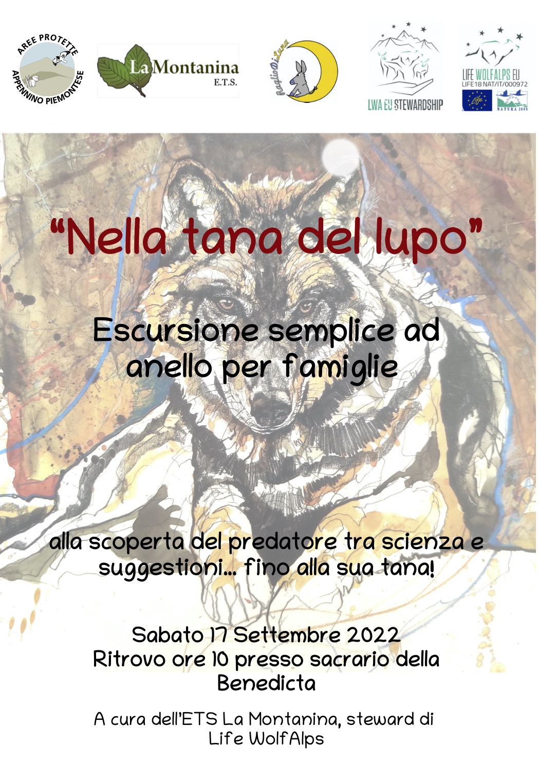 NELLA TANA DEL LUPO - alla scoperta del predatore tra scienza e suggestioni... fino alla sua tana!